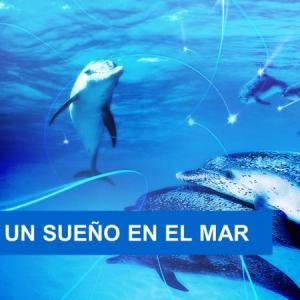 Proyecto de aula