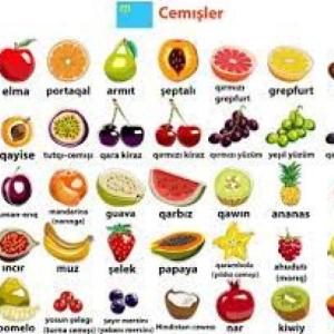 Vocabulary F & V