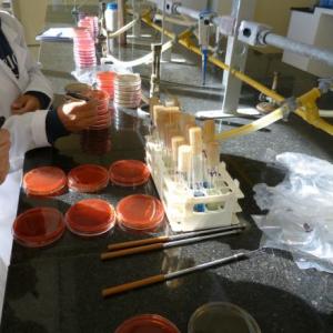 Trivia sobre laboratorio de microbiologia
