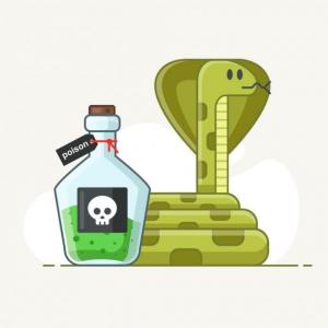 THE SNAKE CHASER