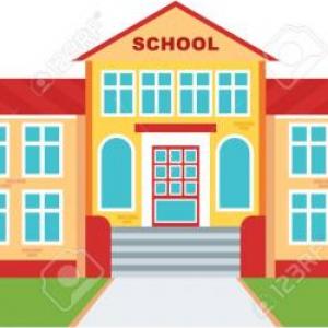 ¿Cómo te desempeñas en la Secundaria?