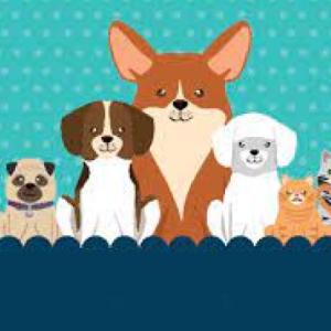 Mascotas 