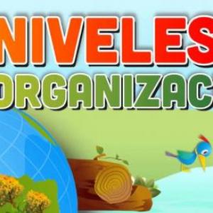 Imagen de portada del videojuego educativo: Niveles de organización de los seres vivos, de la temática Ciencias