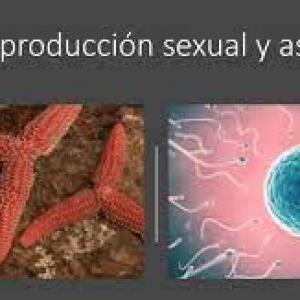 Imagen de portada del videojuego educativo: Sexual y Asexual , de la temática Ciencias