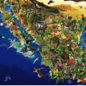 REGIONES NATURALES DE MÉXICO.