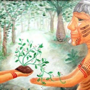 Caá (Yerba mate)