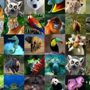 LA FAUNA