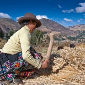 Agricultura Andina